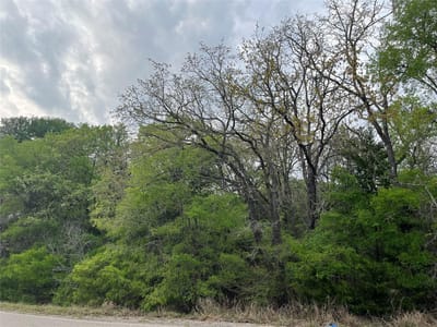 Property photo 5 at 162 & 164 W Kaanapali LN - Tahitian Village,, Bastrop, TX