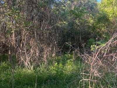 Living area at 167 Kahana Ln - Tahitian Village,, Bastrop, TX