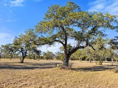 Kitchen at 167 Mr Charlie Ln - Trinity Oaks Preserve/Round Mo, Round Mountain, TX