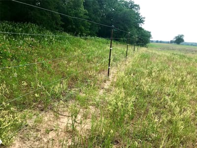 Photo 3 - 1672 Sayers Rd Unit #Tract 1 Photo 3 of 15 at 1672 Sayers Rd Unit #Tract 1 - Bastrop, Bastrop, TX