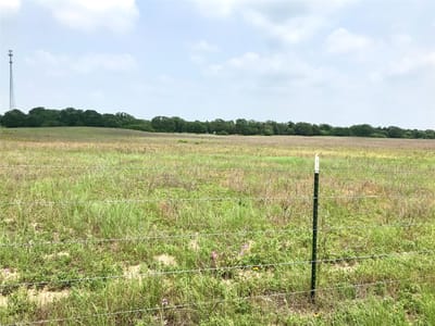 Property photo 3 at 1672 Sayers Tract 2 Rd - Bastrop, TX