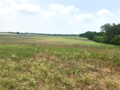 Property photo 5 at 1672 Sayers Tract 2 Rd - Bastrop, TX