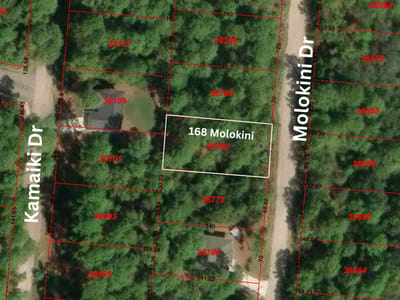 Property photo 2 at 168 Molokini DR - Tahitian Village,, Bastrop, TX