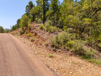 Property photo 4 at 168 Molokini DR - Tahitian Village,, Bastrop, TX