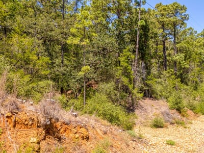 Property photo 5 at 168 Molokini DR - Tahitian Village,, Bastrop, TX