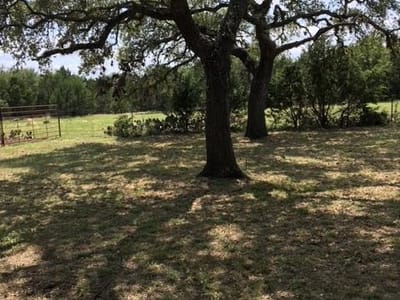 Living area at 1685  Hwy 281 Hwy - 3 bed 2 bath home