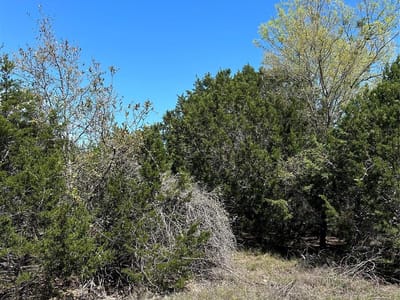 Primary bedroom at 17 Heathrow Ln - Woodcreek Sec 12, Wimberley, TX