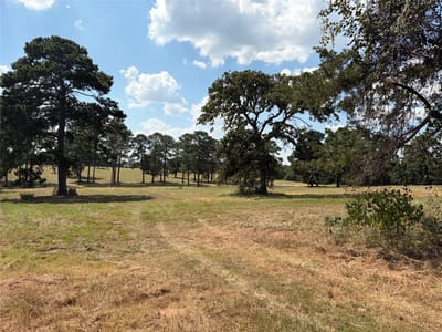 Property photo 5 at 170 Split Oak RD - GARRETT, JOHN (V L EVANS), Smithville, TX