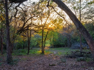 Primary bedroom at 1700 County Road 216 - Nathaniel Gocher One-Third, Giddings, TX