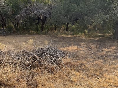 Property photo 4 at 17308 W 1st ST - Trails End Resub 04, Leander, TX