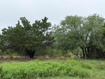 Primary bedroom at 17408 Lake Wood Cir - Mountain Creek Lakes Sec 01, Dripping Springs, TX