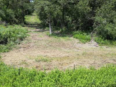 Primary bedroom at 1742 County Road 413 N Unit #TRACT 3 - Wildwood Ranches, Lexington, TX