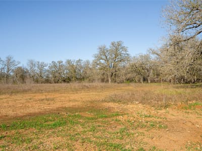 Primary bedroom at 175 AZALEA Ct - TUMBLEWEED ESTATES PH 3, Dale, TX