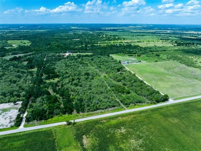 Primary bedroom at 17509 Albert Voelker Rd - Hines W Sur 53 Abs 345, Elgin, TX