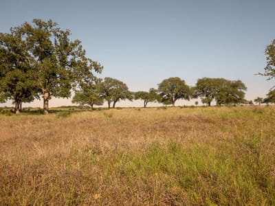 Property photo 2 at 1755 Towhead Valley RD - none, Johnson City, TX