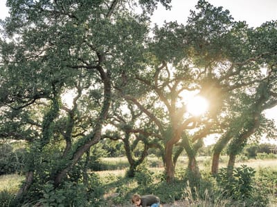 Primary bedroom at 17650-A Hamilton Pool Rd - none, Austin, TX
