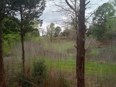 Primary bedroom at 177 Moon Mist Dr - Lake Bastrop Acres, Bastrop, TX
