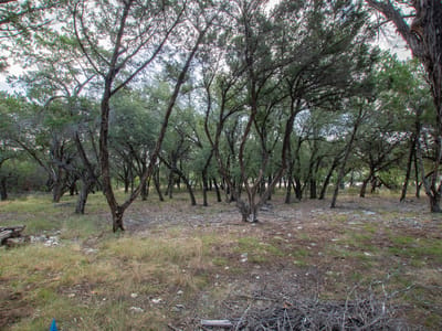 Property photo 4 at 17713 Maritime Point DR - Hollows Of Northshore Amd, Jonestown, TX
