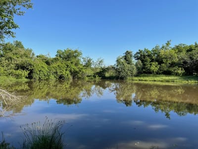 Photo 2 of 25 at 17800 E FM 2268 - Holland, Holland, TX