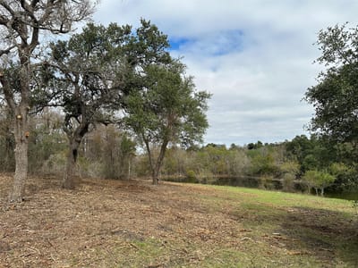 Photo 4 of 25 at 17800 E FM 2268 - Holland, Holland, TX
