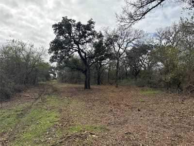 Photo 5 of 25 at 17800 E FM 2268 - Holland, Holland, TX