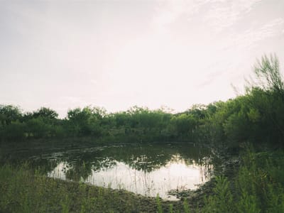 Property photo 5 at 1790 County Road 402 - None, Marble Falls, TX