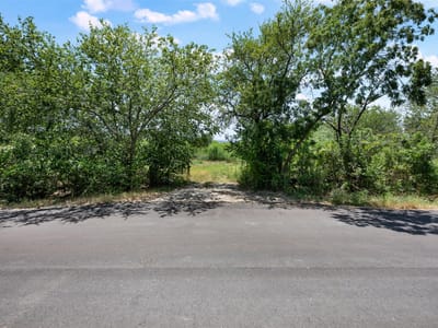 Property photo 3 at 18101 Albert Voelker RD - ABS 345 SUR 53 HINES W ACR 7.60 1-D-1, Elgin, TX