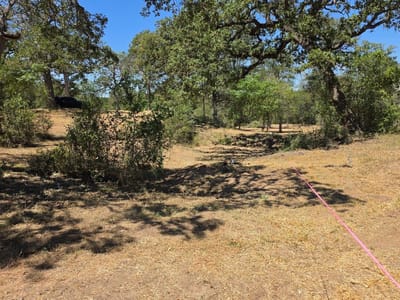 Property photo 3 at 183 Wilbarger CV - Wilbarger Creek Estates, Elgin, TX