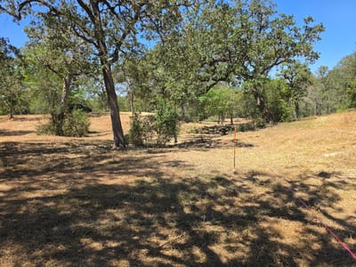 Property photo 4 at 183 Wilbarger CV - Wilbarger Creek Estates, Elgin, TX