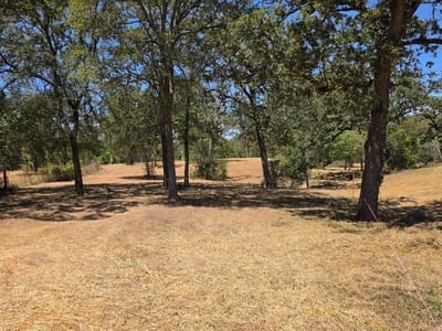 Property photo 5 at 183 Wilbarger CV - Wilbarger Creek Estates, Elgin, TX