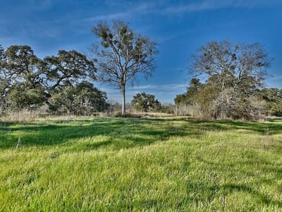 Photo 3 of 11 at 1855 FM 1948 Rd - Burton, Burton, TX