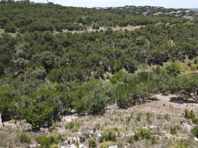 Property photo 3 at 18816 Silver Maple DR - Waterford On Lake Travis Sec 4, Lago Vista, TX