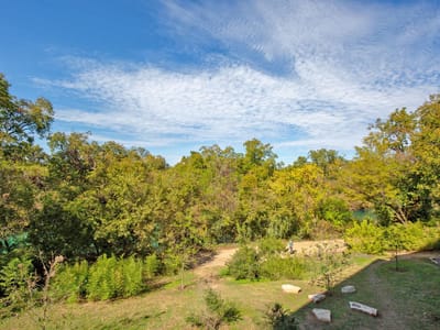 Living area at 1900 Barton Springs Rd Unit #3038 - 1 bed 1 bath home