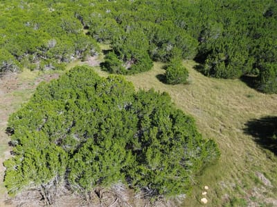 Property photo 5 at 1906 (Lot 11) Woodford CT - Woodford Salado, Salado, TX