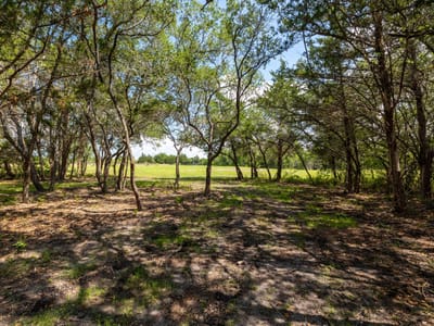 Property photo 4 at 1910 (Tract #1) Baca LOOP Unit #1 - Muldoon League 14, Flatonia, TX