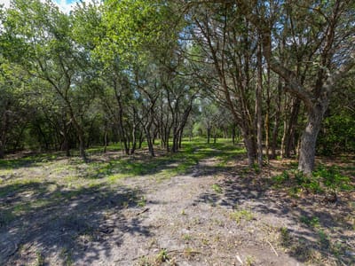 Property photo 5 at 1910 (Tract #1) Baca LOOP Unit #1 - Muldoon League 14, Flatonia, TX