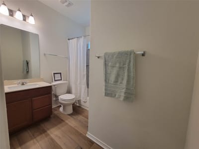 Bathroom at 19108 Lady Bird Johnson ST - 3 bed 2 bath home