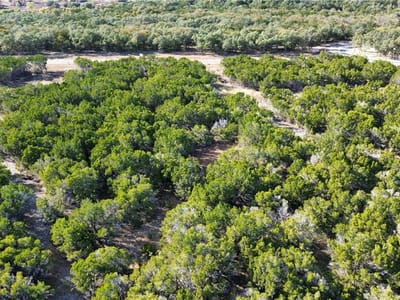 Property photo 4 at 1914 (Lot 9) Woodford CT - Woodford Salado, Salado, TX