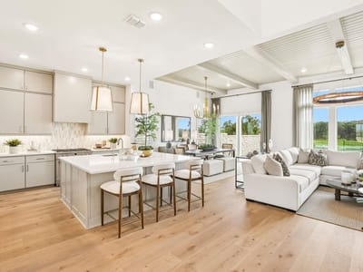 Living area at 194 Christian Springs DR - 4 bed 3 bath home