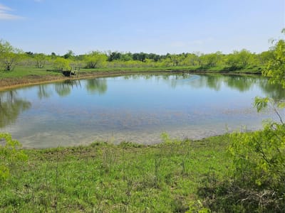 Photo 2 of 17 at 1988 Cr 116 Rd - Rogers, Rogers, TX