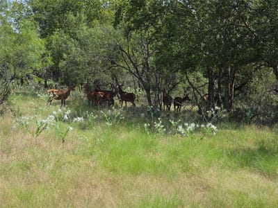 Photo 4 of 17 at 1988 Cr 116 Rd - Rogers, Rogers, TX