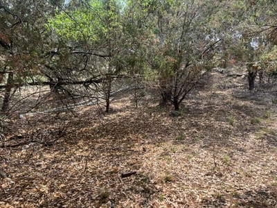 Property photo 4 at 19906 Constitution Cv - HIGHLAND LAKE ESTATES SEC 6, Lago Vista, TX