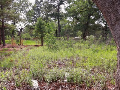 Primary bedroom at 200 Cheyenne Dr - Lake Thunderbird, Smithville, TX