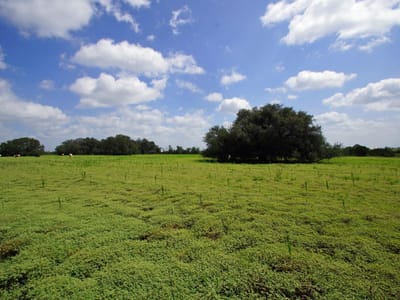 Living area at 2002 County Road 276 - 200 Acres, Bertram, TX