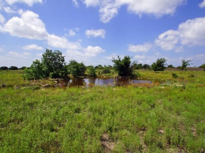 Bathroom at 2002 County Road 276 - 200 Acres, Bertram, TX