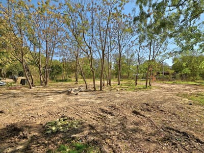 Primary bedroom at 2004 Whirlaway Dr - River Timber, Del Valle, TX