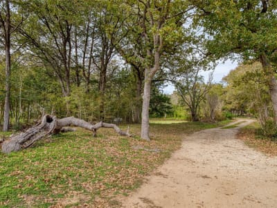 Property photo 2 at 201 Artesian DR - Artesian Oaks, Cedar Creek, TX