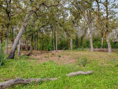 Property photo 3 at 201 Artesian DR - Artesian Oaks, Cedar Creek, TX
