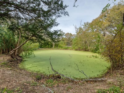 Property photo 5 at 201 Artesian DR - Artesian Oaks, Cedar Creek, TX