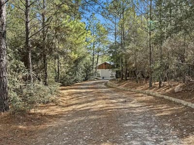 Living area at 201 Winfield Thicket Rd - 4 bed 2 bath home